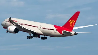 Air India VT-ANQ Boeing 787-8 Dreamliner